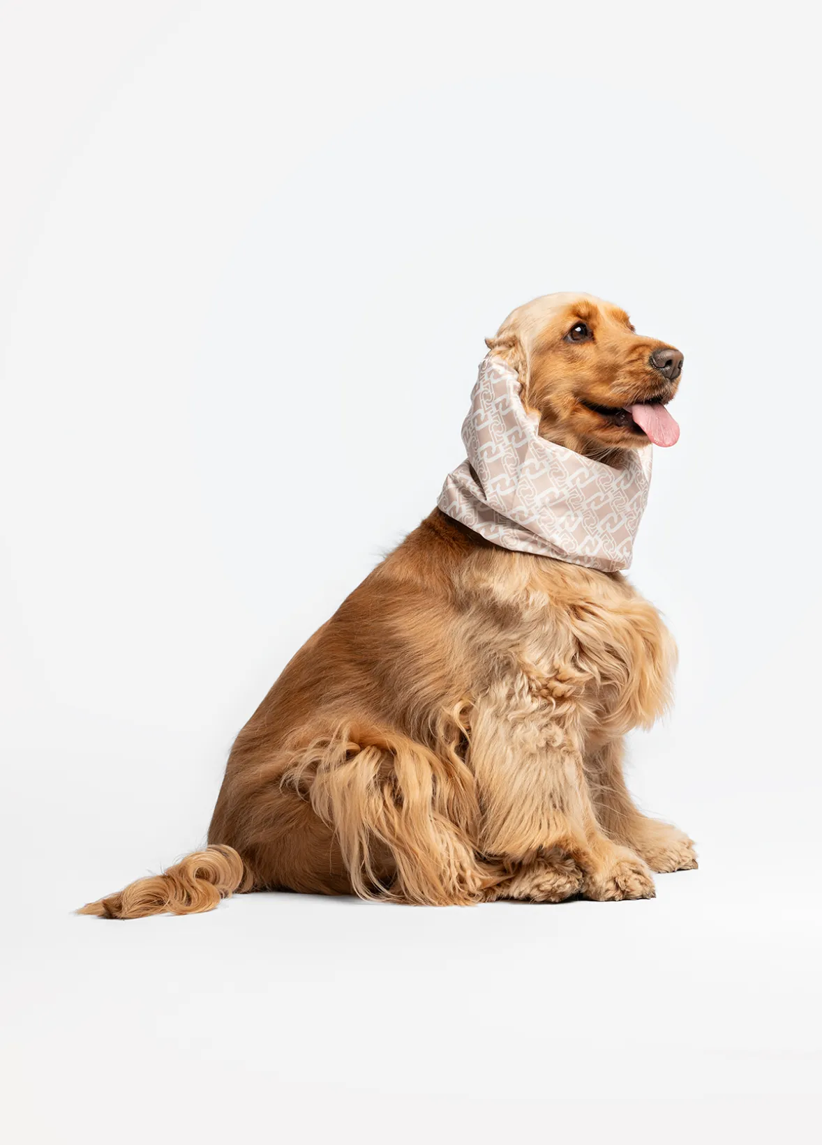 Copriorecchie-collo Liu Jo Pets