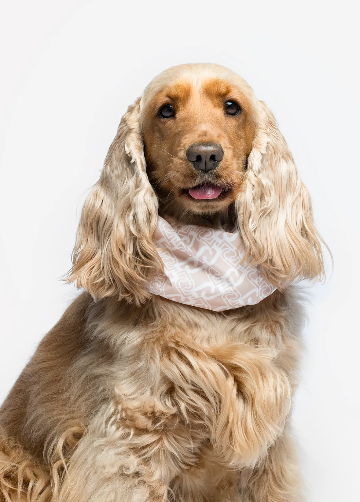 Copriorecchie-collo Liu Jo Pets