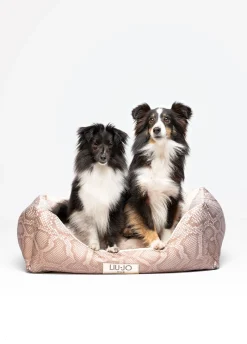 Cuccia Liu Jo Pets