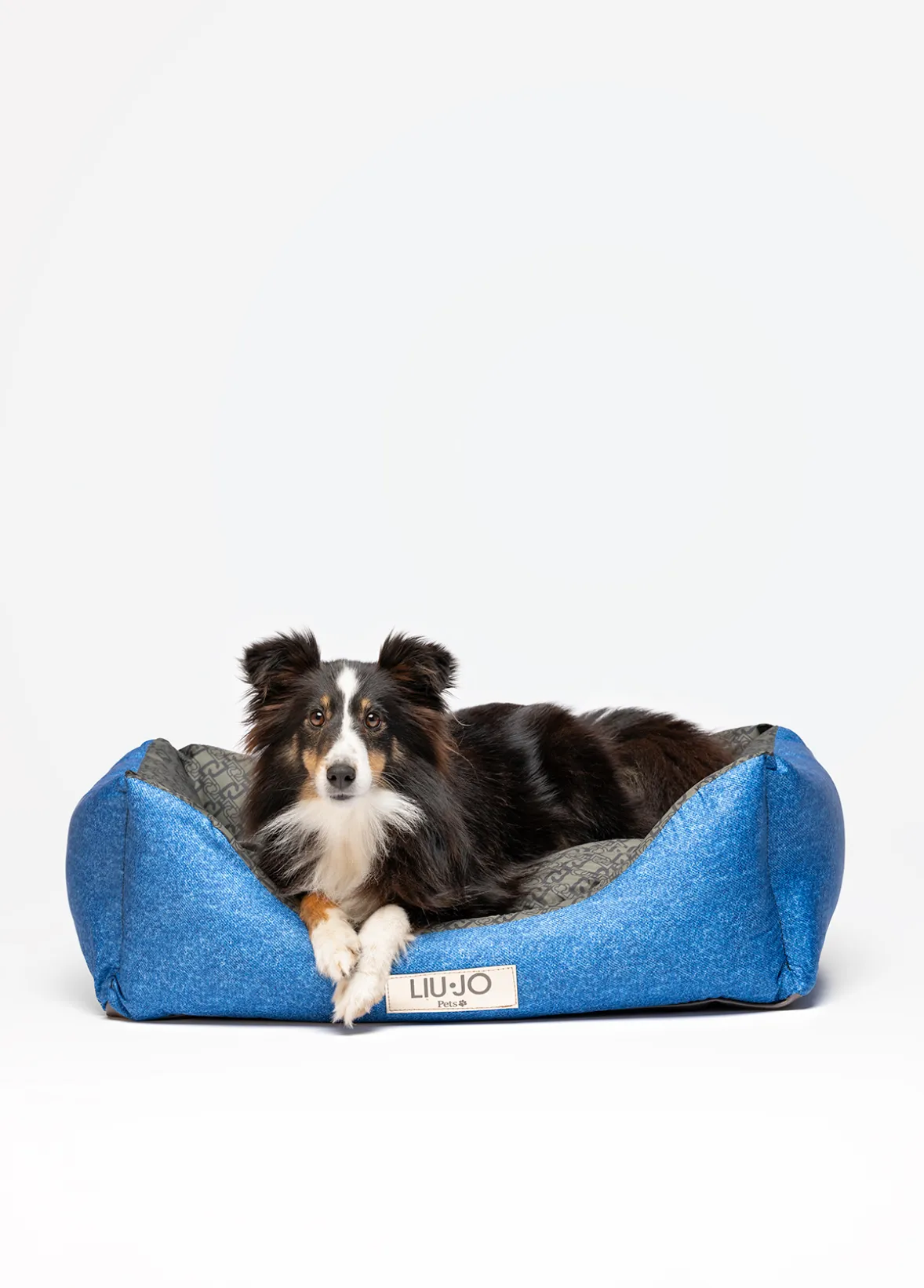 Cuccia Liu Jo Pets