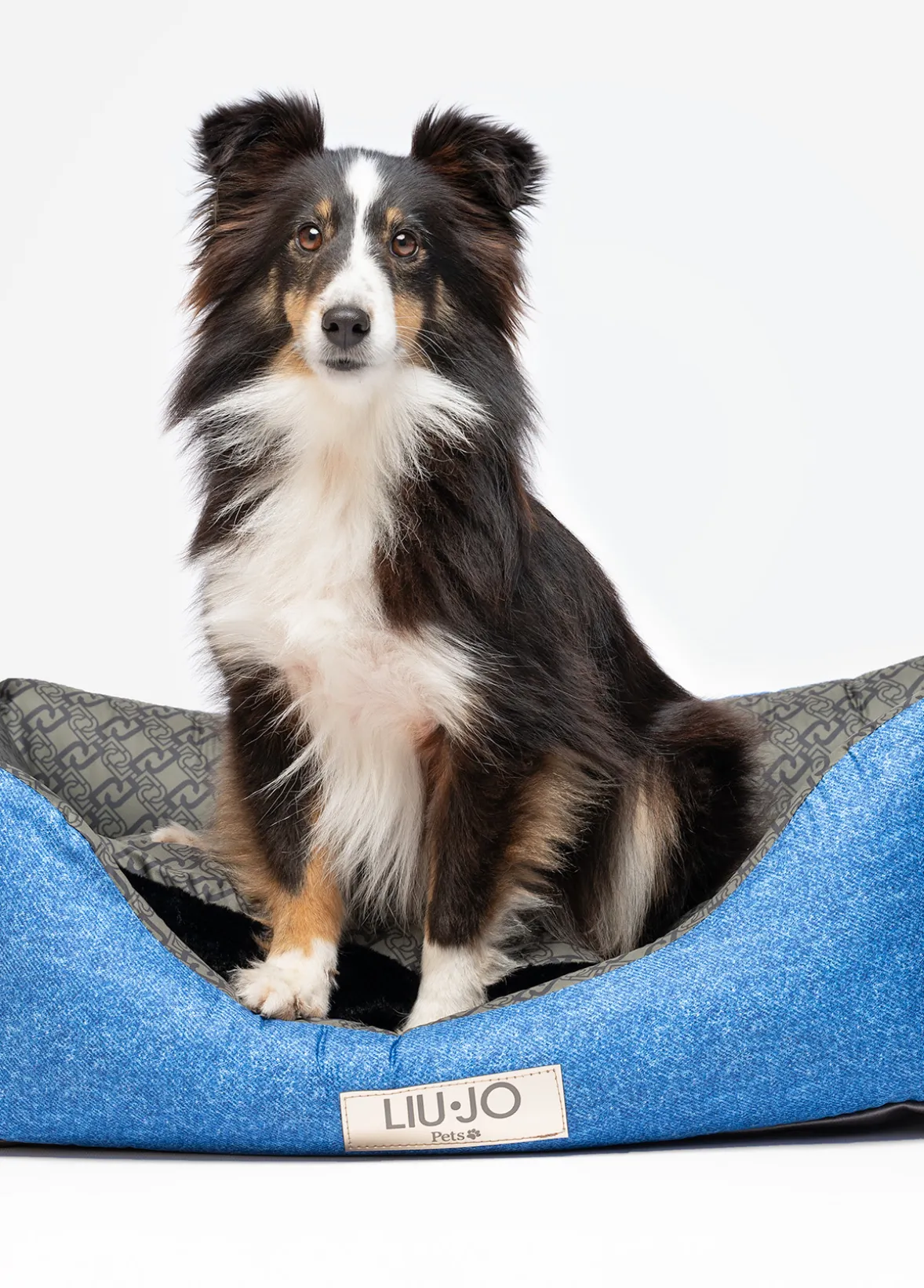 Cuccia Liu Jo Pets