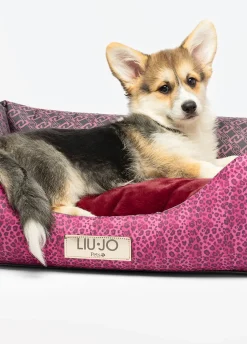 Cuccia Liu Jo Pets