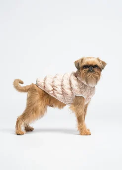 Giacca imbottita Liu Jo Pets