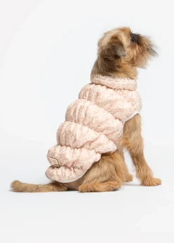 Giacca imbottita Liu Jo Pets
