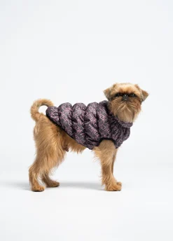 Giacca imbottita Liu Jo Pets