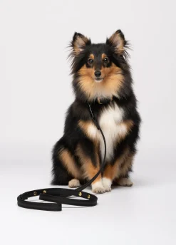 Guinzaglio Liu Jo Pets
