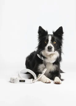 Guinzaglio taglia grande Liu Jo Pets