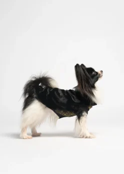 Maglia in lana e cashmere Liu Jo Pets