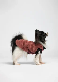 Maglia in lana e cashmere Liu Jo Pets