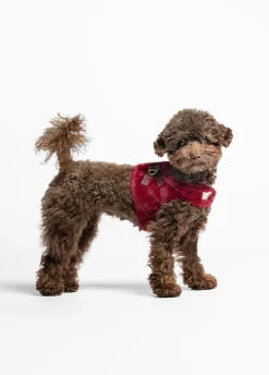 Pettorina in teddy Liu Jo Pets
