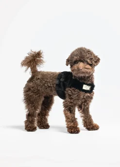 Pettorina in teddy Liu Jo Pets
