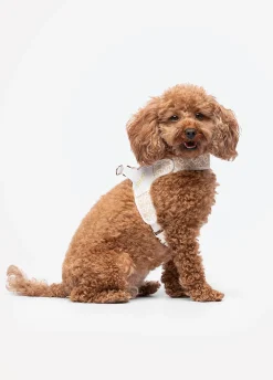 Pettorina Liu Jo Pets