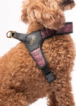 Pettorina Liu Jo Pets