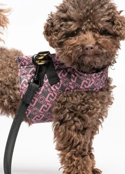 Pettorina Liu Jo Pets