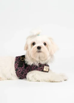 Pettorina Liu Jo Pets