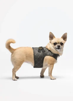 Pettorina Liu Jo Pets