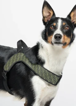 Pettorina taglia grande Liu Jo Pets