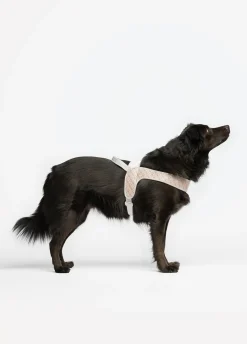 Pettorina taglia grande Liu Jo Pets