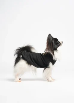 Pullover in cotone Liu Jo Pets