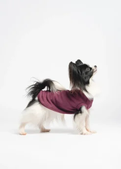 Pullover in cotone Liu Jo Pets