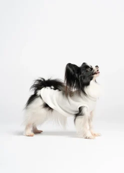 Pullover in cotone Liu Jo Pets