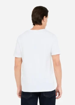 T-shirt in cotone