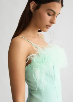 Vestito elegante con piume